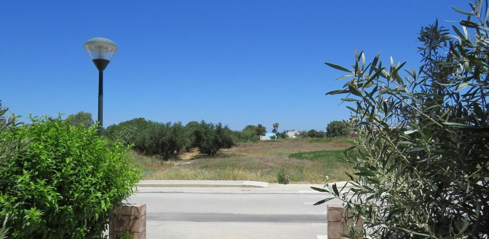 Elia Mare Apartment Mastichari  Exterior photo